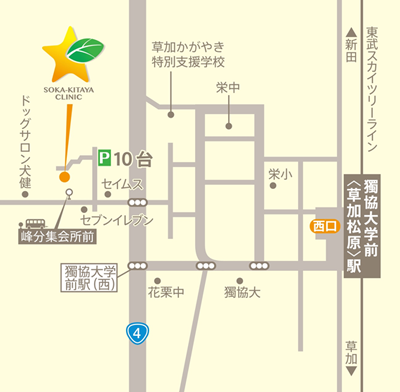 当院について