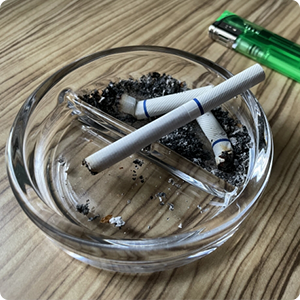 慢性閉塞性肺疾患(Chronic Obstructive Pulmonary Disease：COPD)（ 肺気腫および慢性気管支炎）